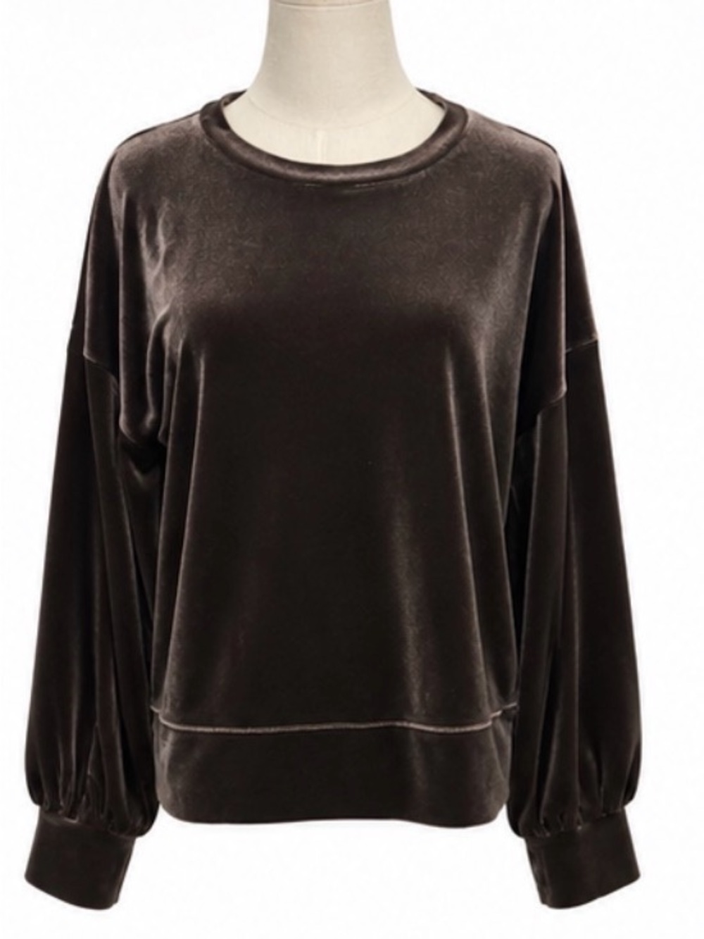 Madewell Dark Metal Velvet Balloon Sleeve Sweatshirt Pullover M